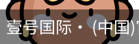 壹号国际